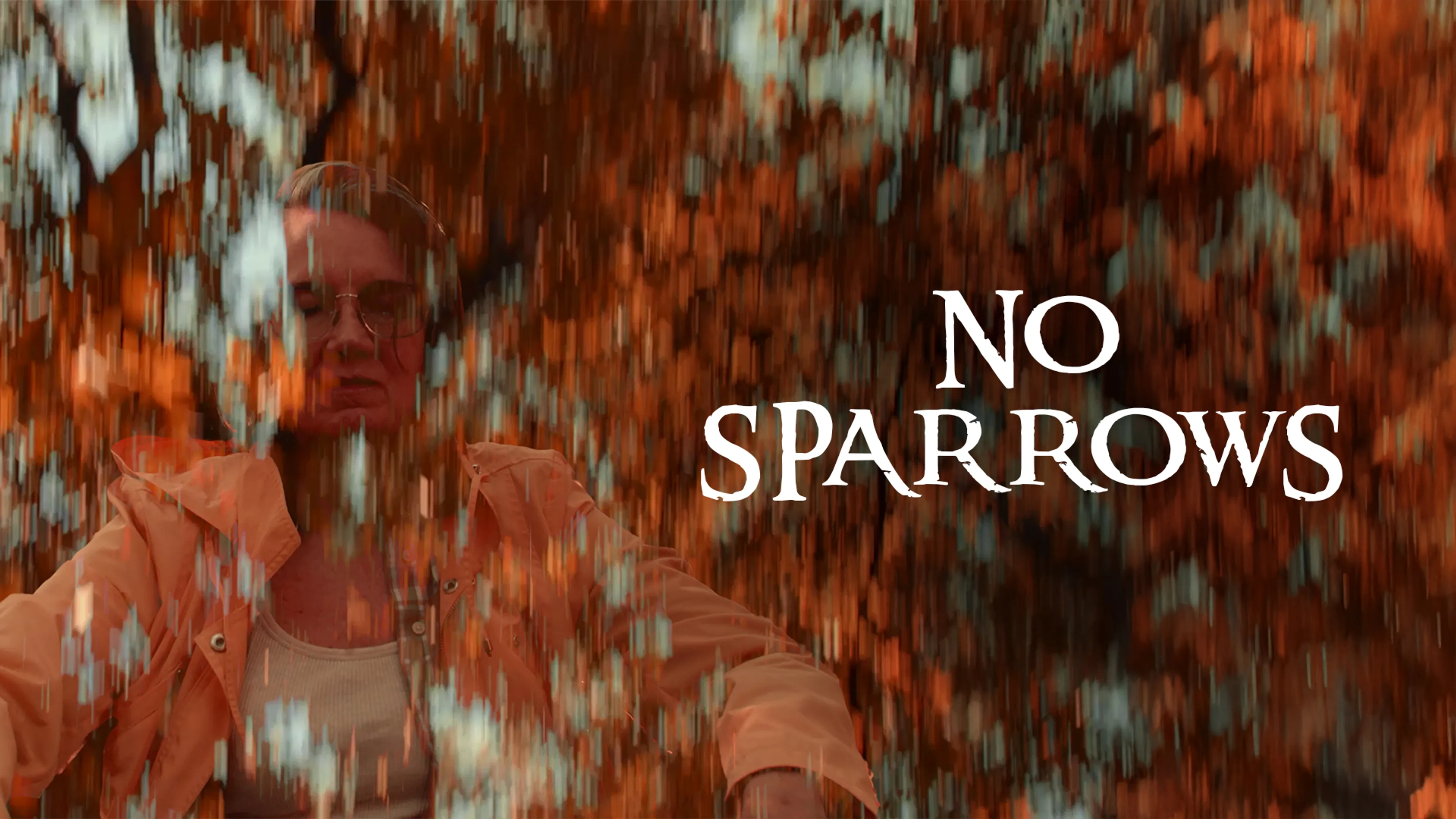 No Sparrows poster